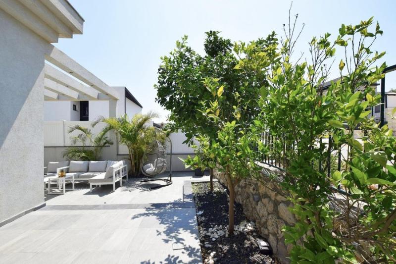 אחוזת ליבי38